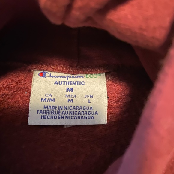 Champion Brooklyn Wildcats hoodie - Picture 4 of 5